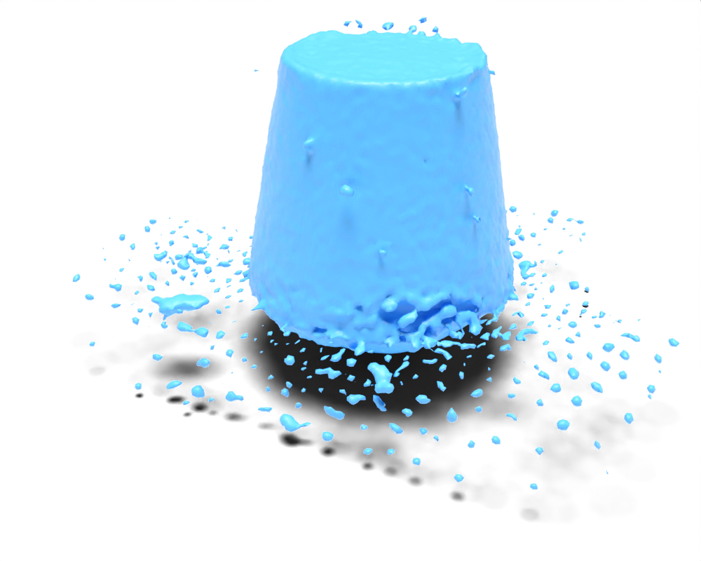Refer to caption
