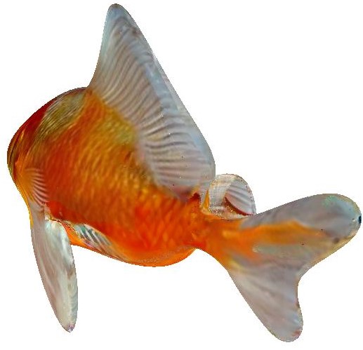 Refer to caption