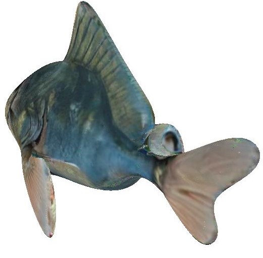 Refer to caption