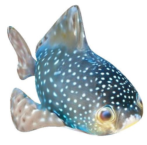 Refer to caption