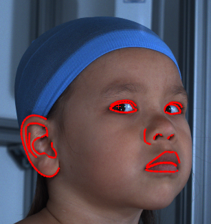 Refer to caption