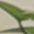 [Uncaptioned image]