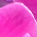 [Uncaptioned image]