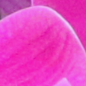[Uncaptioned image]