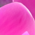 [Uncaptioned image]