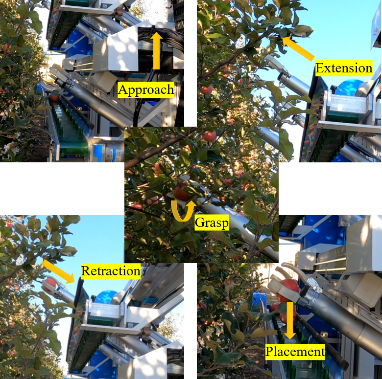 [2303.00460] Multi-Arm Robot Task Planning for Fruit Harvesting Using ...