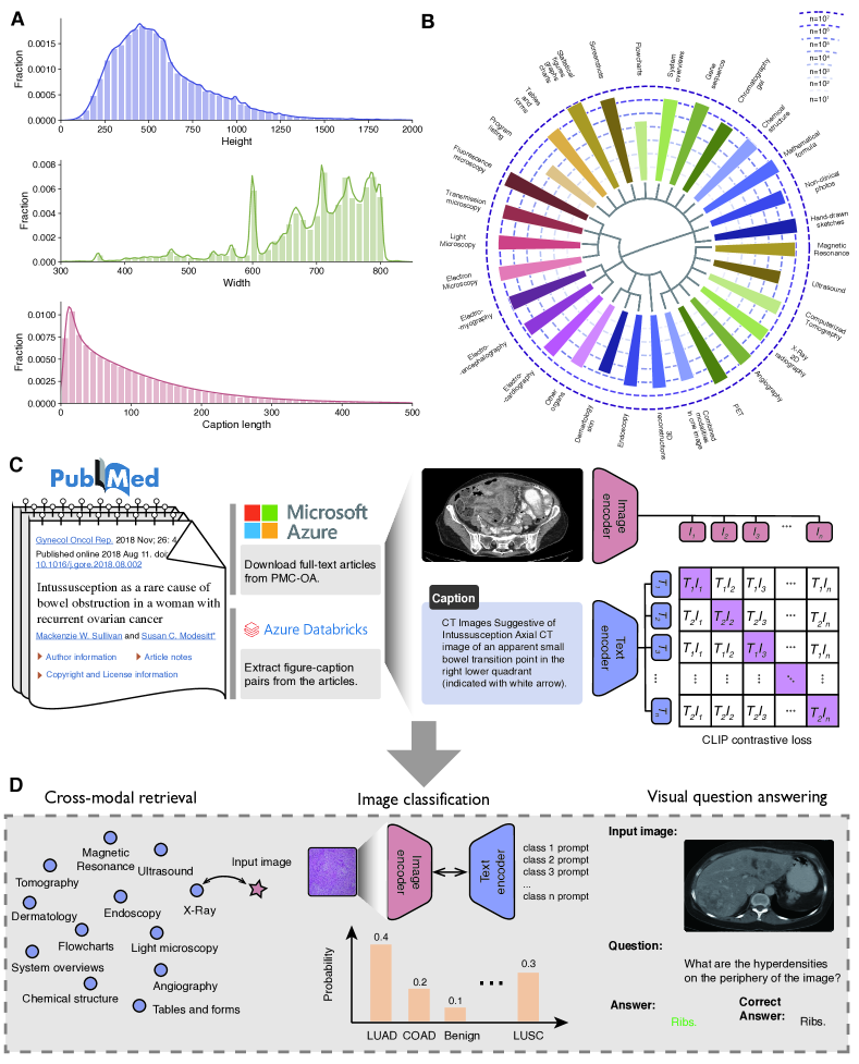 [2303.00915] BiomedCLIP: a multimodal biomedical foundation model ...