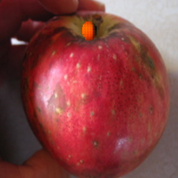 Refer to caption