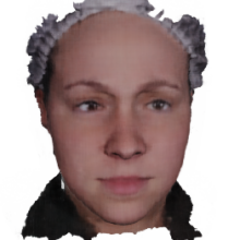Refer to caption