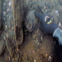 Refer to caption