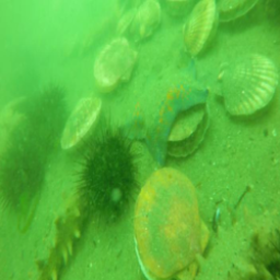 Refer to caption