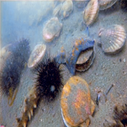 Refer to caption