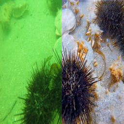Refer to caption