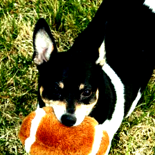 Refer to caption