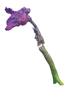 [Uncaptioned image]