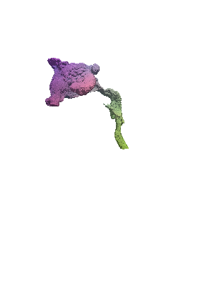 [Uncaptioned image]