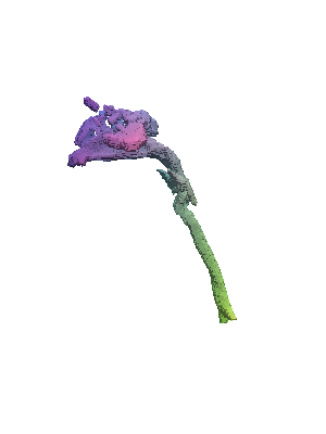 [Uncaptioned image]