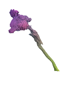 [Uncaptioned image]