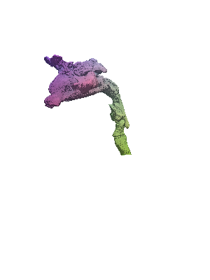 [Uncaptioned image]