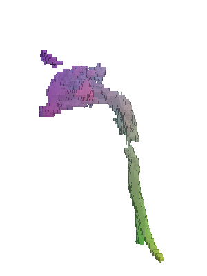 [Uncaptioned image]