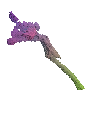 [Uncaptioned image]