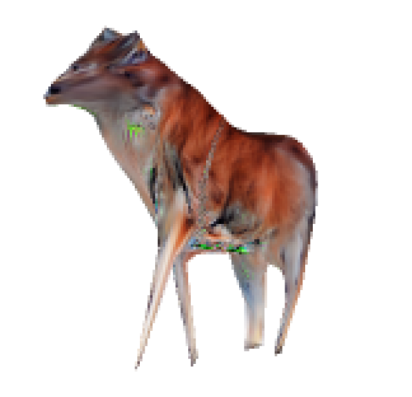 Refer to caption