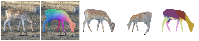 Refer to caption