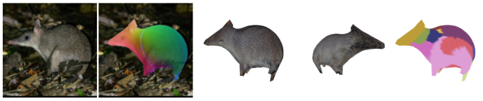 Refer to caption
