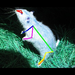 Refer to caption