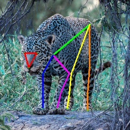 Refer to caption