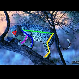 Refer to caption
