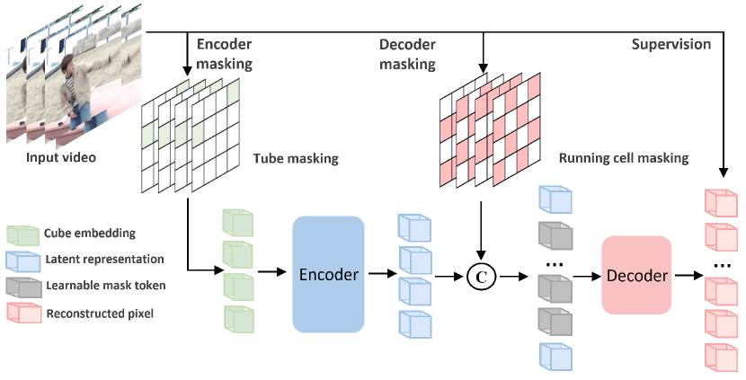 [2303.16727] VideoMAE V2: Scaling Video Masked Autoencoders With Dual ...