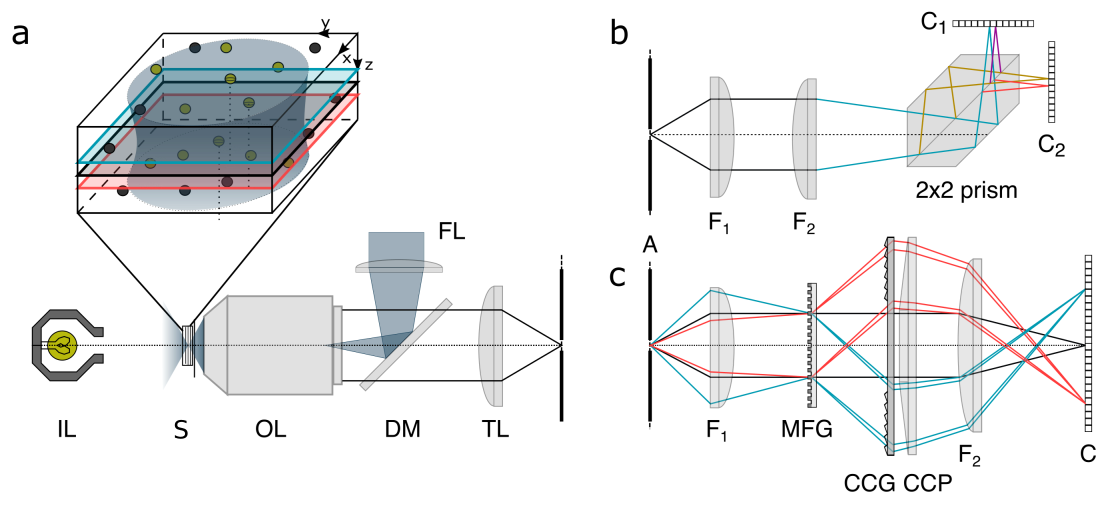 Refer to caption