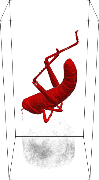 Refer to caption