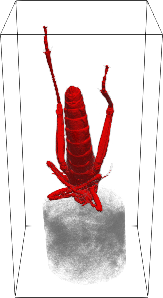 Refer to caption