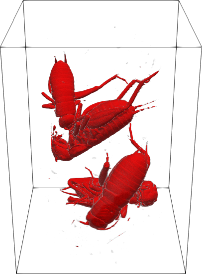 Refer to caption