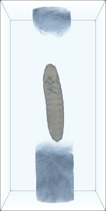 [Uncaptioned image]