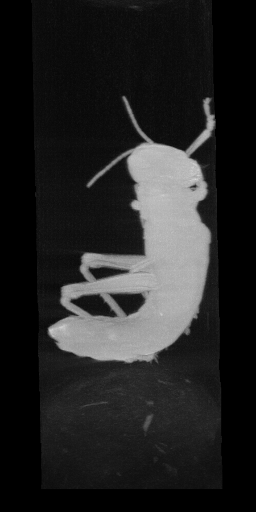 [Uncaptioned image]