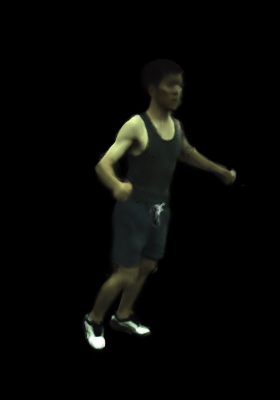 Refer to caption