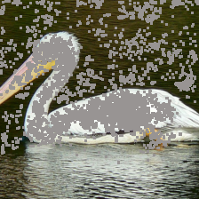 Refer to caption