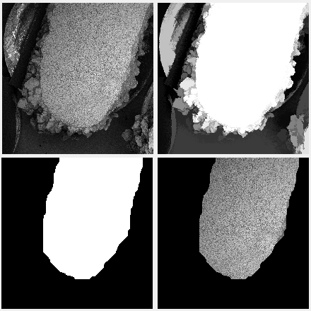 Refer to caption