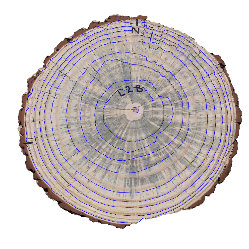 Refer to caption