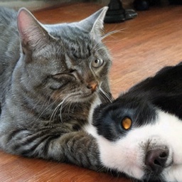 Refer to caption