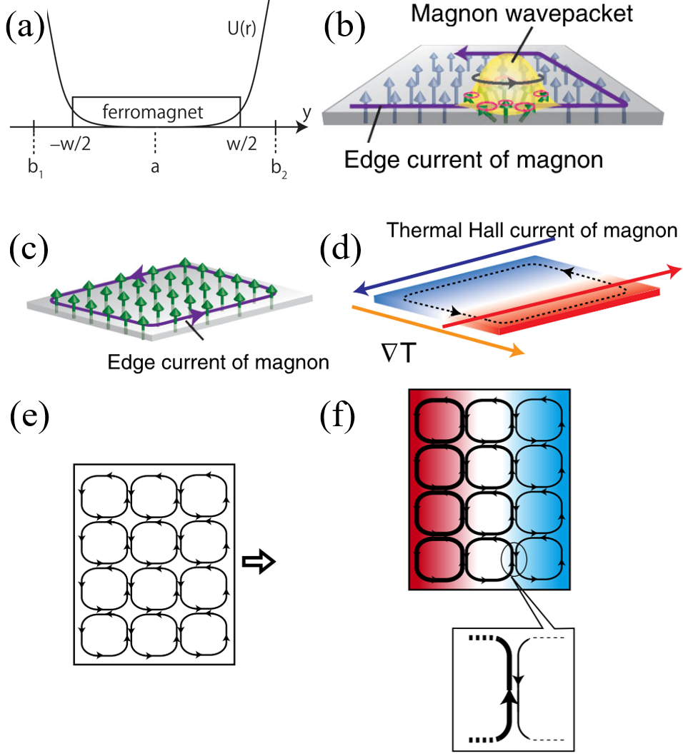 2305.14861] Topological Phases in Magnonics