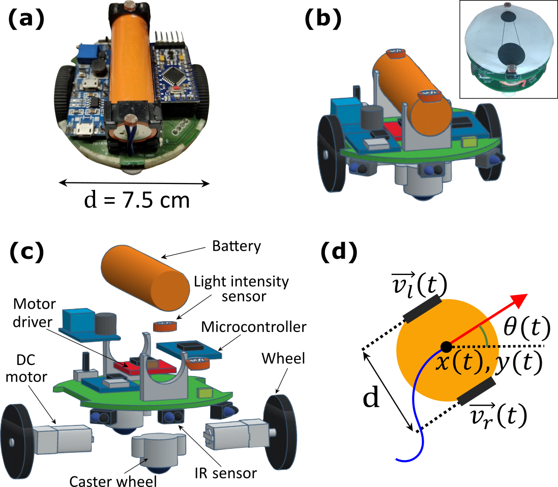 Refer to caption