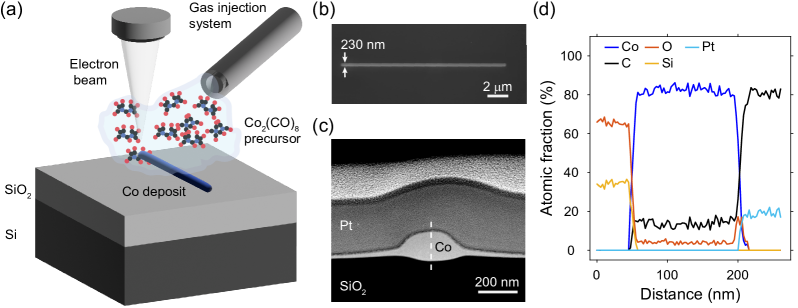 Refer to caption