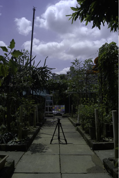 Refer to caption