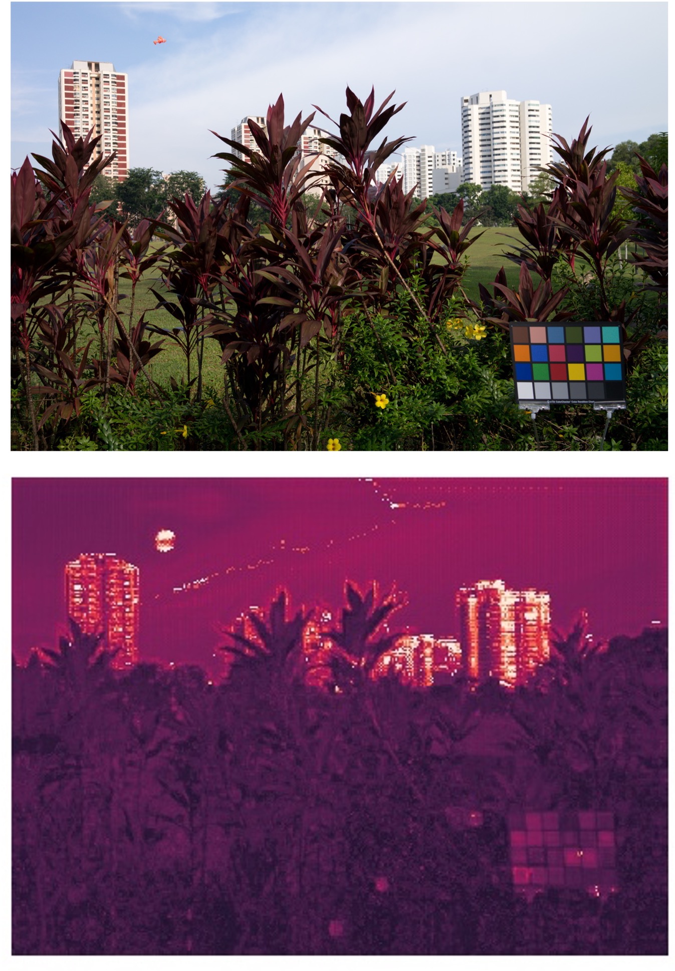 Refer to caption
