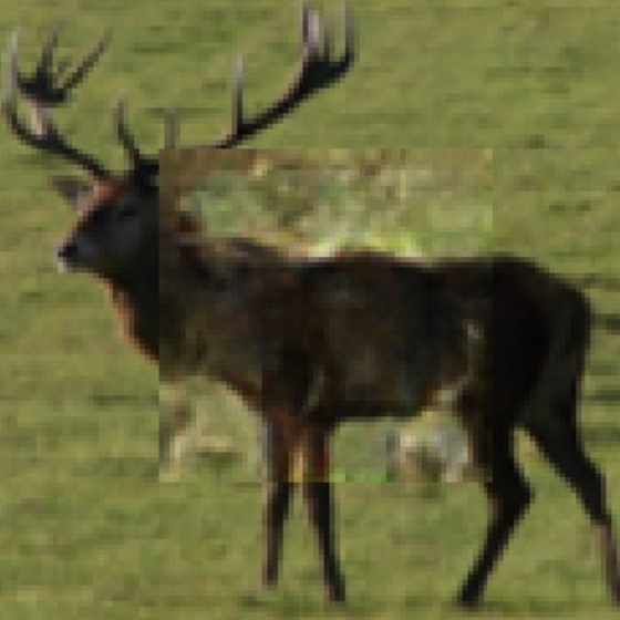 Refer to caption