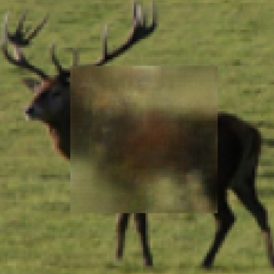 Refer to caption